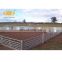 Best quality steel pipe galvanized sheep & goat rail fence panels, sheep feedlot for sale