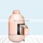 Good Quality 2.2L 2.5L Stainless Steel Air pressure thermos