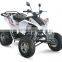 EEC 300cc Dune Buggy