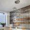 Indoor Iron Cage Chandelier Modern Ceiling Stainless Steel Pendant Lighting Lamp