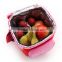 High Quality 300D Polyester Ice Cream Cooler Bag Insulated Ice Cream Cooler Bag With Detachable Clear PVC Compartment