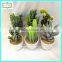 18cm new design hot sale artificial succulent plants