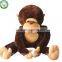 China dongguan Wholesale custom stuffed plush toys cute orangutan
