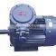 Hot sell YB2 Series high-voltage Explosion-Proof Three Phase AC Motor