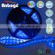 High Lumen aquarium 5050 LED flexible waterproof led strip tape rgb 5050 ip65 led strip 5050 24v kit                        
                                                Quality Choice