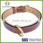 Hot selling products pet dog collar bulk