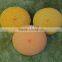 Concrete Pump Spong Ball For Cleaning Concrete Pipeline