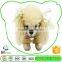 2015 Popular Oem Soft White Poodle