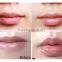 2016 animal cute shape moisturize sweet Lip balm For Pink lips