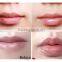 Amazing magic fruit flavor cute shape lip balm from china manufacturer