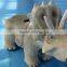 Kiddie Cute Dinosaur Rides for Sale