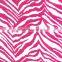 TSAUTOP 0.5M/1M Width Red Zebra Hydrographic Film Water Transfer Film for Sale Film