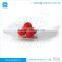 Taiwan Manufacturer High Quality Acrylic Restaurant Buffet Plate