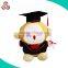 Factory wholesale cheap price custom stuffed handmade toy graduation plush