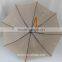 Chinese plain color auto umbrella for wholesale