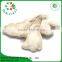 Wholesale Grade A Big Piece Whole Peeled Dry Ginger