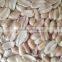 Roasted Blanched Peanut Kernels Split, Blanched Peanut half split