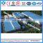 50TPD---500TPD Sunflower Seed Oil Pressing Plant Turn Key Service