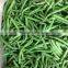 frozen stringless green bean