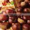 Frozen Roasted Chestnuts in Shell for sale