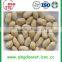 Blanched Peanut kernel in various flavor for you choose
