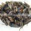 bird food supplier