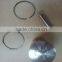 SOLO Port 423 Mist Blower Complete Piston and Rings