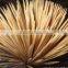 Dry Disposable Bamboo Stickes for BBQ or skewers China