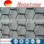 High quality Galvanized Hexagonal Wire mesh, chicken Mesh Dog netting/fish trap netting