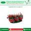 Beautifully Crafted And Hand Painted Pot Planter for Gardens Decoration at Minimal Rate