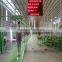 Conveyor manufacturers with various conveyor machine
