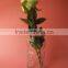 clear relief pillar glass flower pot