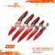Durable and Fashionable Kitchen Knives Set with High Quality