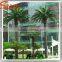 Hot sale artificial outdoor date palm trees fiberglass 6 meter for palm tree wedding decorations tree