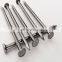 factory Q195 common steel iron nail