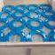 FLANGES,  BACKING RINGS, Hot dipped galvanzed Flange, FEB COATED FLANGES