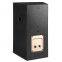 12 Inch Professional pa Stage Speaker MT-12