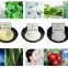 Hot Sale Organic Snow White Powder Cosmetic Grade for Skin Care