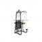 Dhz Fitness 2020 Gym Equipment E1009B Dip Assist Machine For Bodybuilding