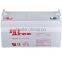 Sealed Lead Acid Battery 12V 100Ah VRLA Battery
