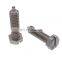 Customize Hexagon Screw Slotted Stainless High Tensile Hex Socket Screw