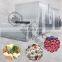 LONKIA Professional Tunnels Chicken Feet Shrimp IQF Quick Freezer Vegetable Freezing Machine