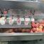 Fully automatic apple peeling coring and slicing machine