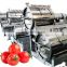 Automatic full set fruit processing line tomato juice production line production line of juice