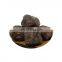 free sample pure natural gambir catechin gambir extract