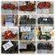 Excavator K3V112Dtp-9N14 Pto Sh200A3 Hydraulic Main Pump Parts