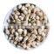 pistachio closed mechanical open Jumbo Round Badami Akdari Ahmad Aghaee pistachio closed