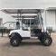 China manufacture Electric golf car for sale