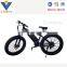 26inch Fat Electric Bicycle China Mountain Electric Bike EN15194 EN14764 Accept OEM