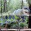 Jurassic park animatronik dinozor funny dinosaur